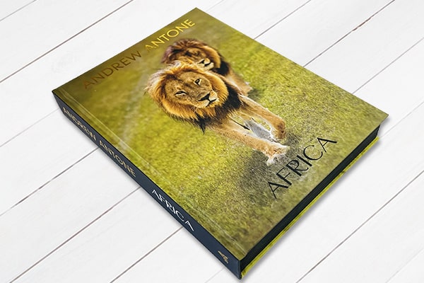 hardcover coffee table book