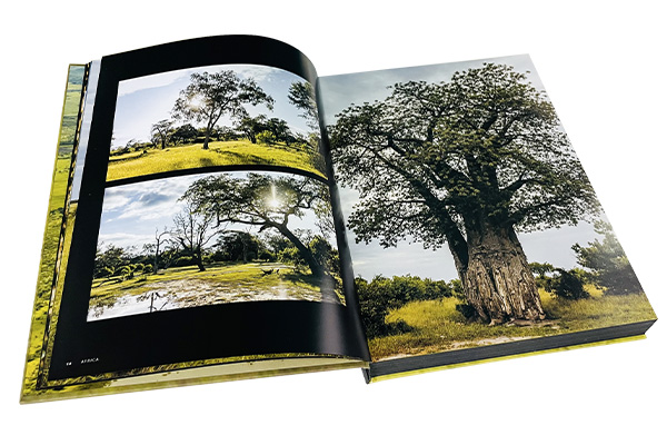 large size photo book printing