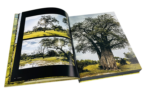 High Quality Photo Book Printing