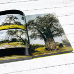 Fine Art Photography Book Printing