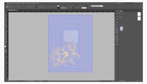 Why Adobe Illustrator Is the best Choice for Packaging Design