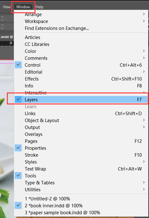 Accessing and managing layers