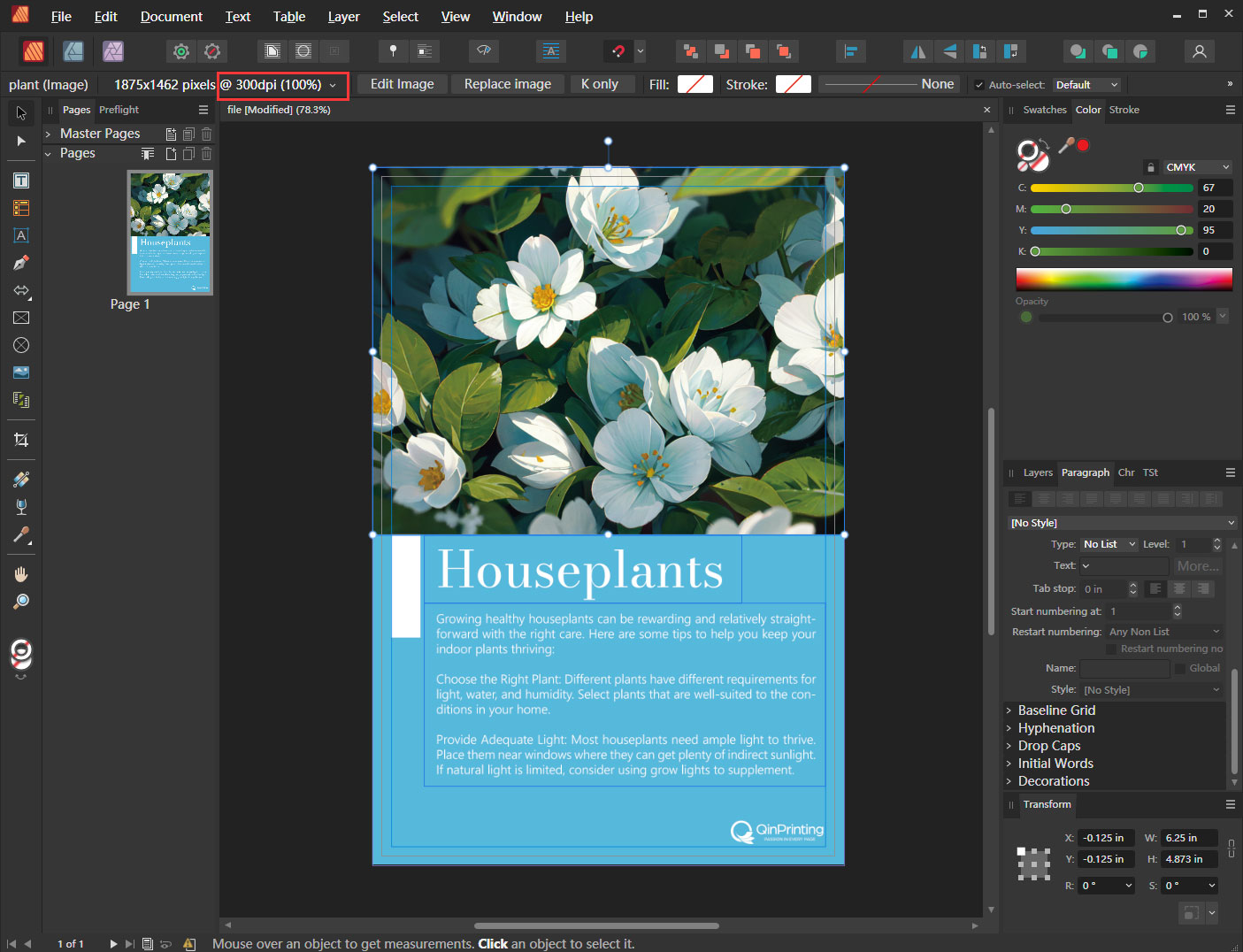 Image and font management