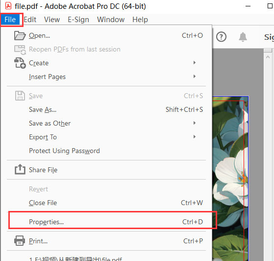 fonts embed