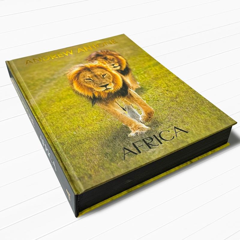hardcover book printing in Chicago