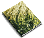 Softcover Books Quote Category