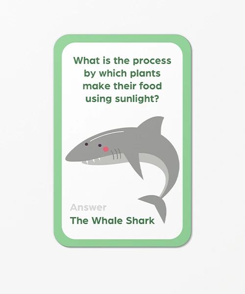 Educational Trivia Card Game