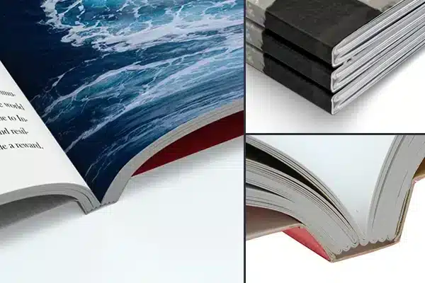 Sewing and perfect binding detail