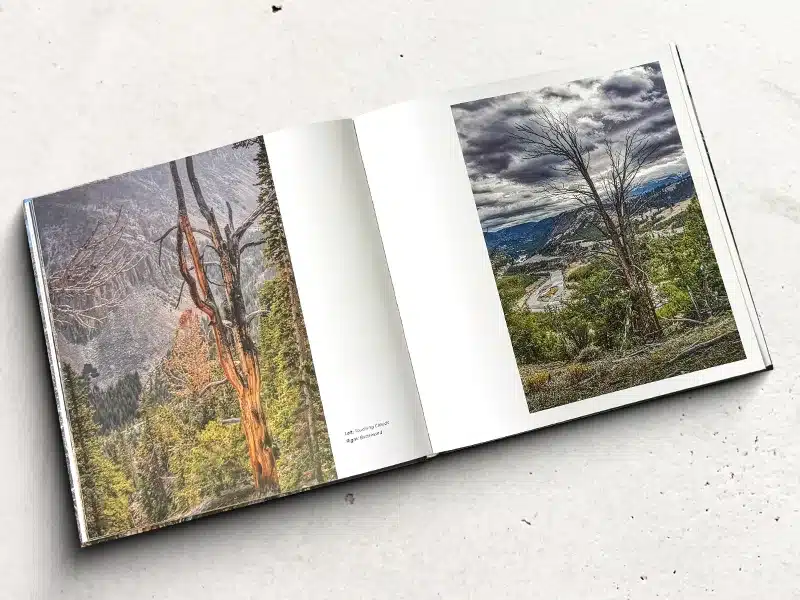 Portfolio Book Printing