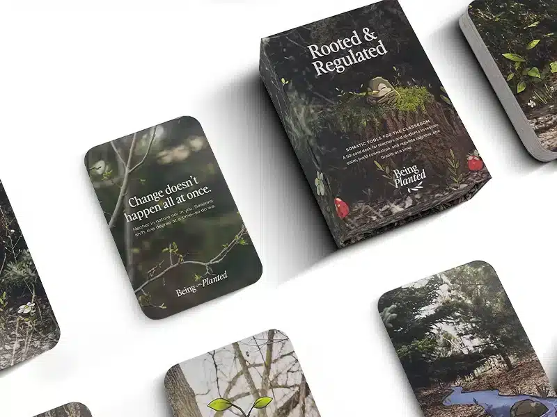 Custom Crowdfunding Affirmation & Learning Flash Cards