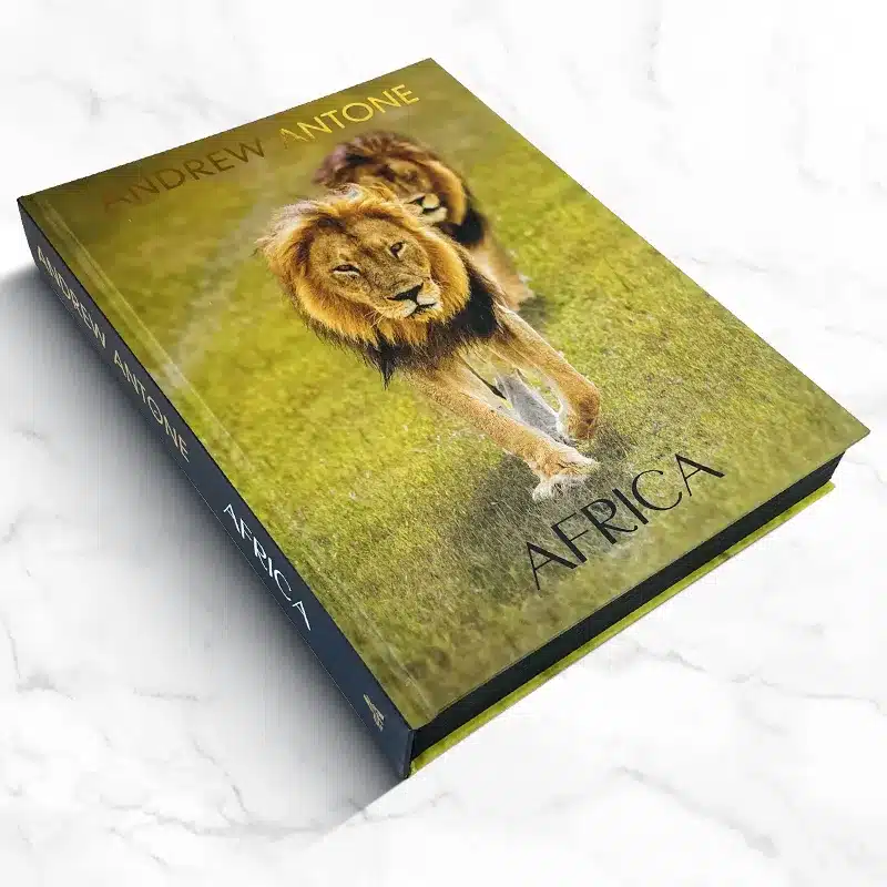 Large Photography Book Printing