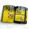 Photography Book Printing Service