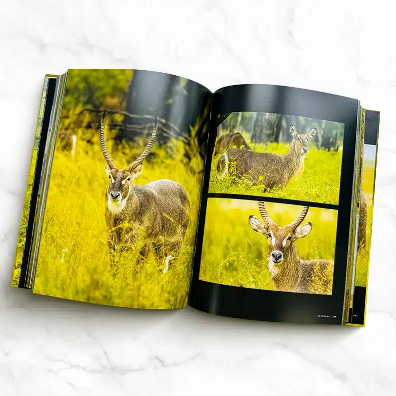 Photography Book Printing Service