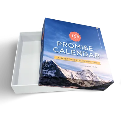 Telescope Rigid Boxes