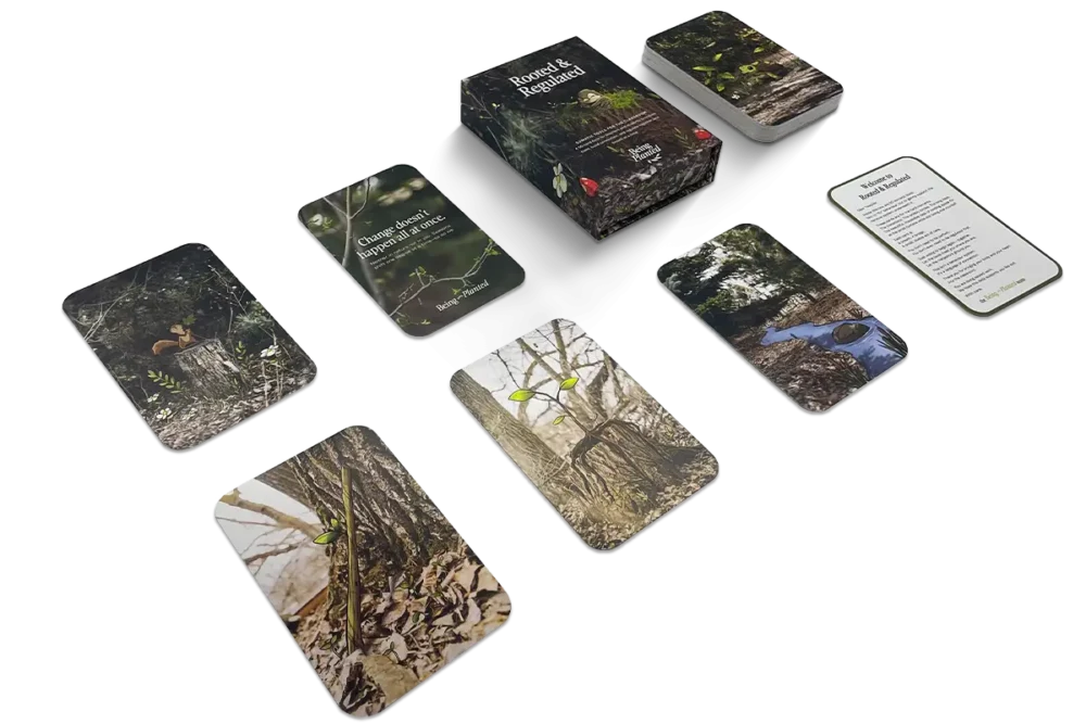 How Much Does a Custom Card Deck Cost