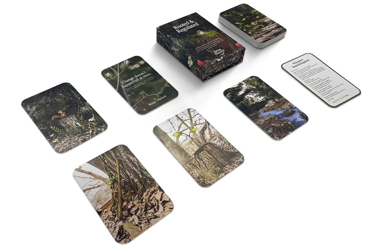 How Much Does a Custom Card Deck Cost? [2026 Price Guide]