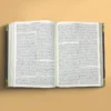 Scripture printing