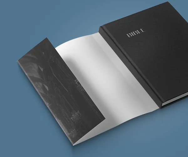 Dust Jacket