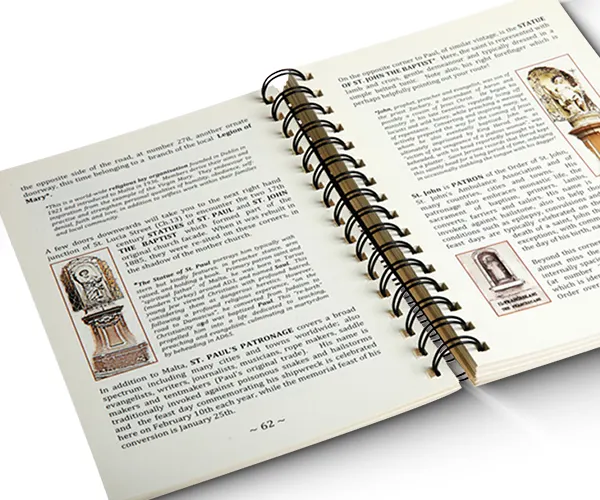 Illustrated Books with Text