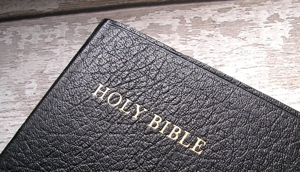 Pu Leather Over Greyboard