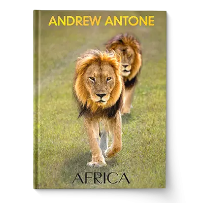 Photography Book