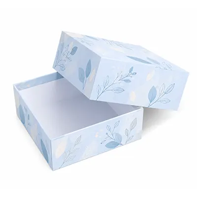 Telescope Rigid Box
