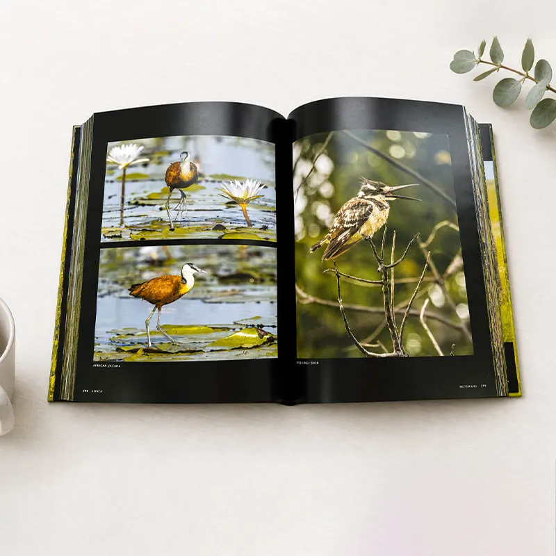 Large Photography Book Printing