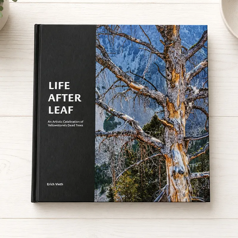 custom photo book printing