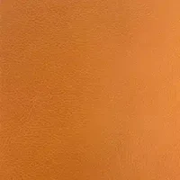 T302-8 orange